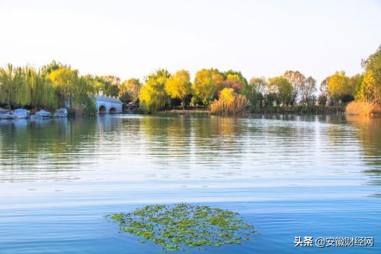 夜皖，赴一场浪漫的约会