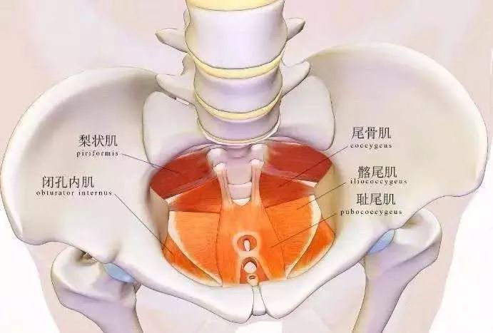 什么动作可以矫正尾骨,骶尾骨痛有哪些动作可以改善