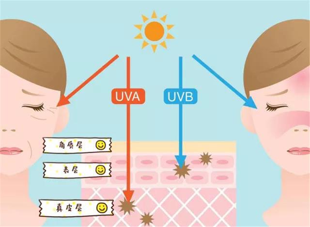 夏天涂防晒长痘,夏天涂防晒长闭口