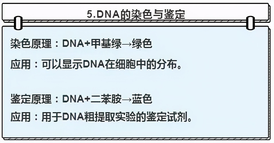 高中生物实验及其作用总结,高中生物实验要点归纳图