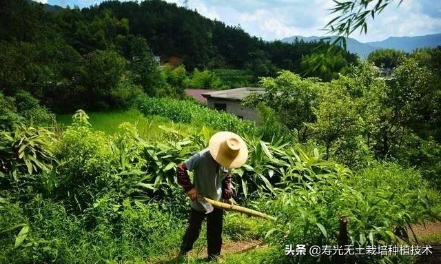 为什么农民的孩子不想做农民