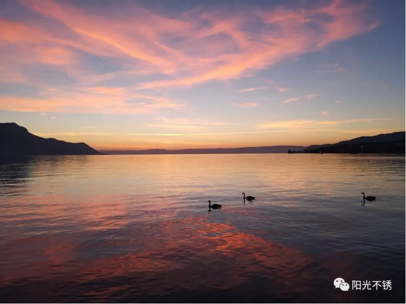 在瑞士买什么有纪念意义,在瑞士消费高