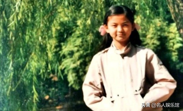 李湘不做主持人了靠什么挣钱呢,李湘一语道破光环背后的辛酸