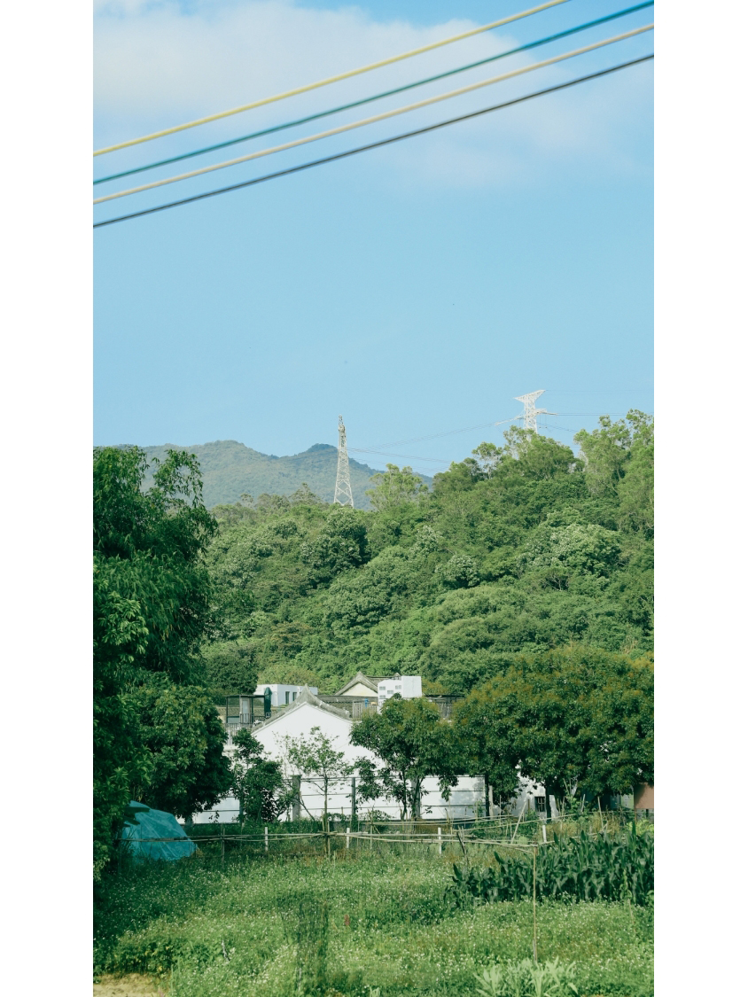 深圳皇岗拍照,深圳湾红树林公园拍照姿势