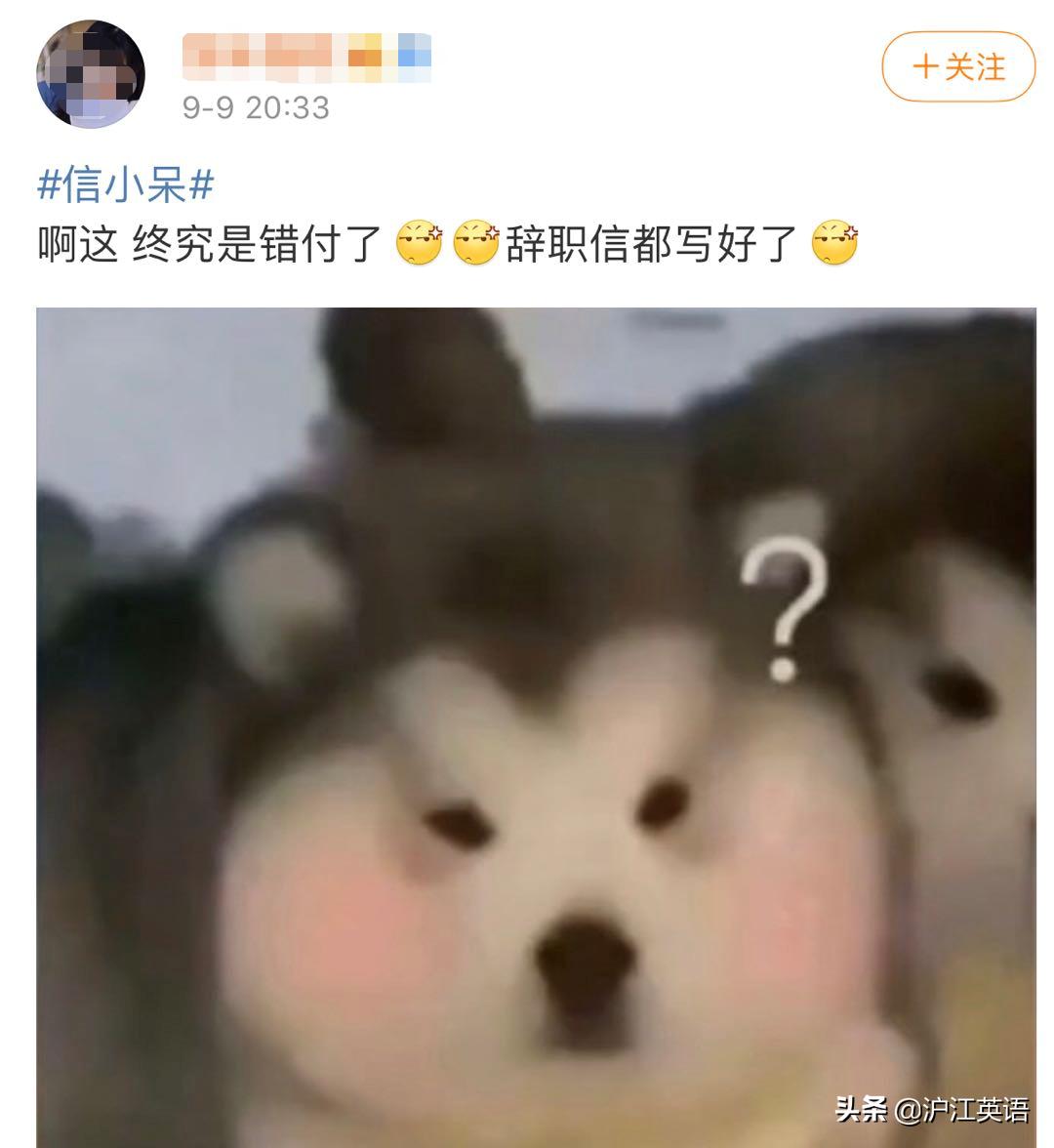 信小呆现在有多少钱,信小呆现在身价多少亿
