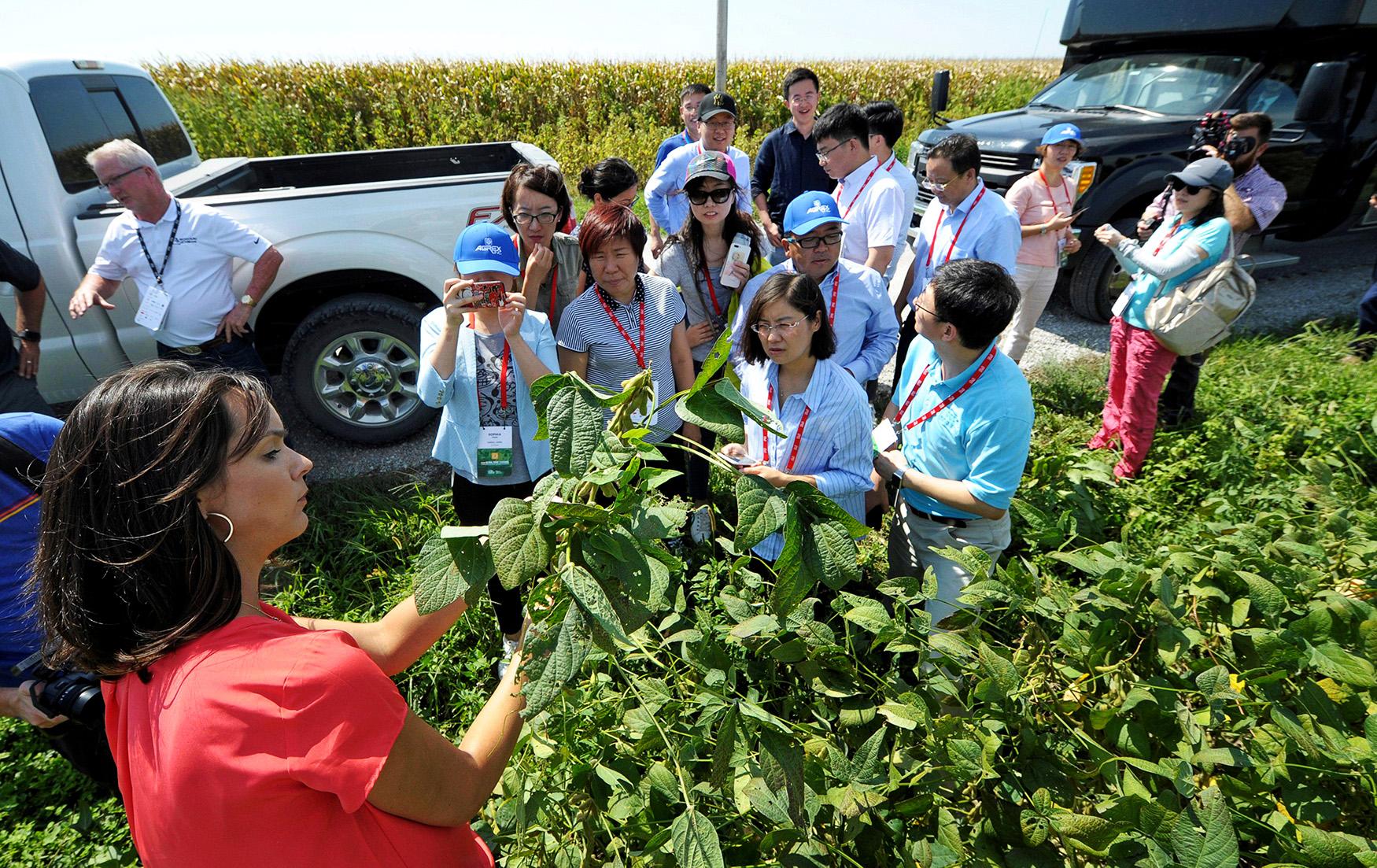 “我们不会放弃中国市场”：超50万吨美国大豆实现对华出口，豆农期待正常贸易交往