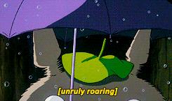 宫崎骏老爷爷笔下经典形象龙猫的原型居然是个鸟，WTF+问号脸