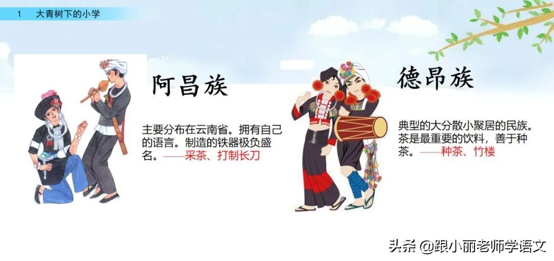 大青树下的小学重点知识点,大青树下的小学重点知识梳理