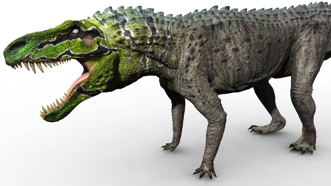 关于恐龙的研究详细,恐龙食谱大全及做法