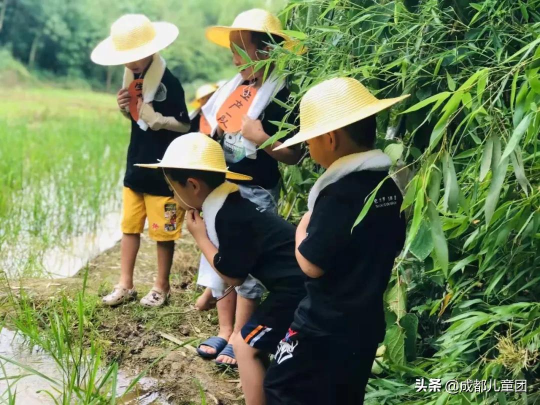 土地四季·禾下乘凉丨给孩子的大地课堂，在自然中自然生长