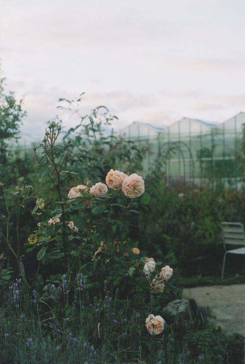 大学生误入传销窝点救出所有人,大学生误入传销组织路边获救