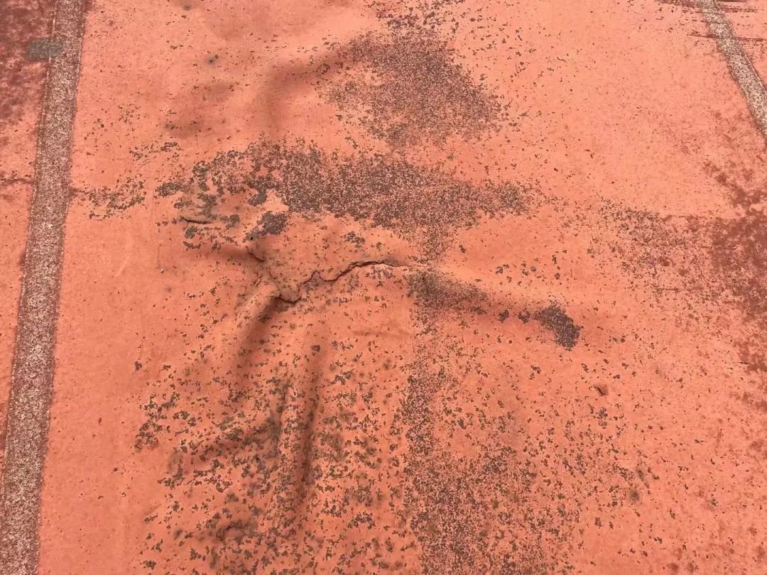 淮安体育中心塑胶跑道老化,赣州市室内足球场