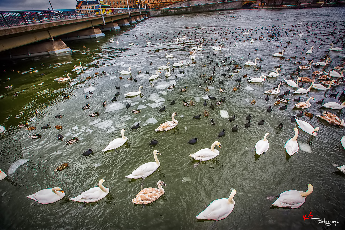 果小姐的减脂日常,果小姐的慢生活泰州