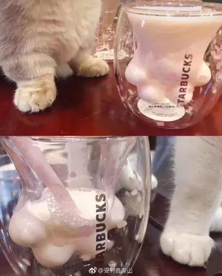 星巴克猫爪杯饥饿营销策略,星巴克猫爪杯深夜排队疯抢