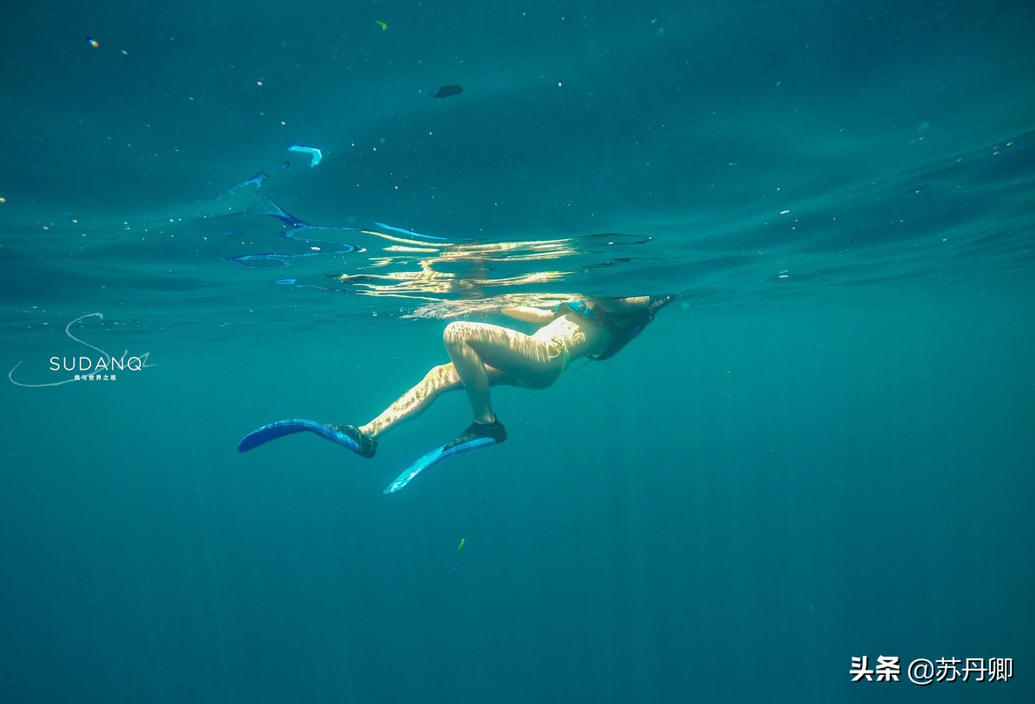 不会游泳也能遨游在海洋,不会游泳可以深海潜水吗