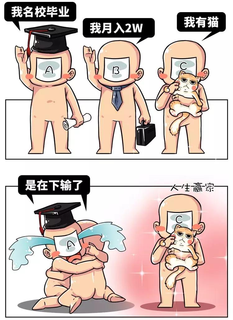 古代猫奴是什么意思,古代猫奴