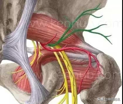 病理脚麻的最快恢复方法,脚麻诊断思路