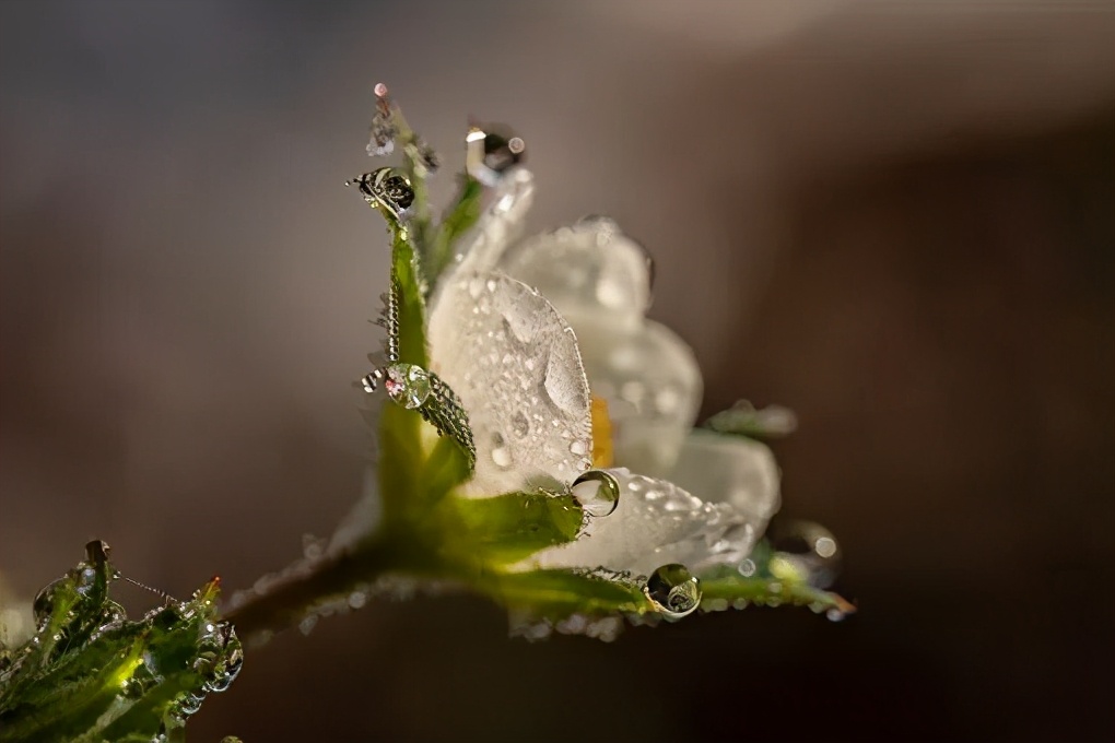 中医下雨天有五点要关注,下雨天适合看中医吗