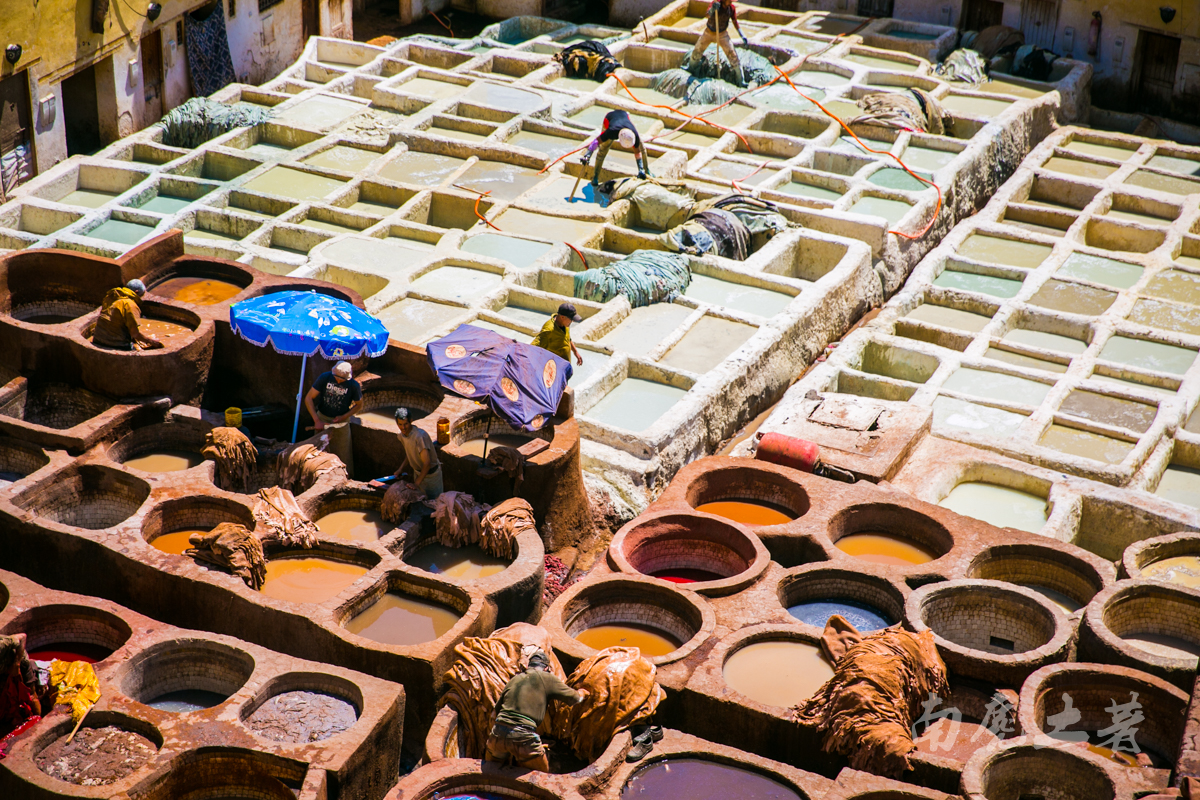 非洲这个城市这么臭，游人却每天排队参观