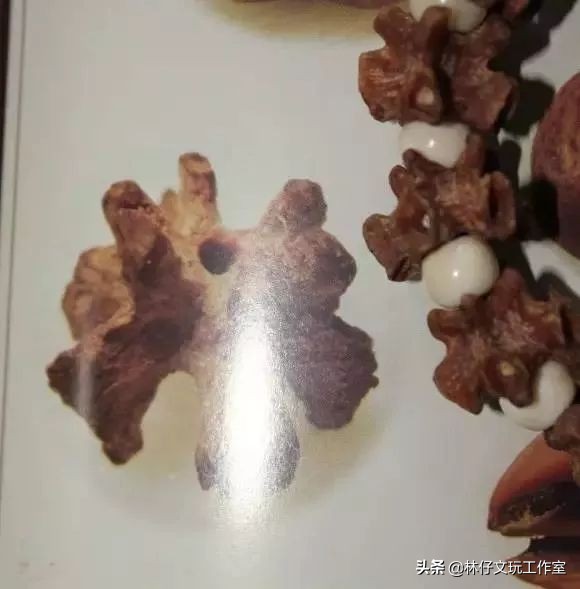 最好看的文玩菩提,文玩菩提种类名称大全图片