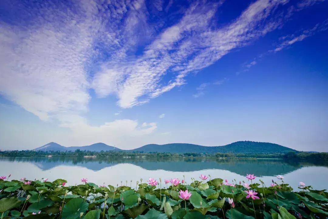 西湖十大名湖排名,西湖有几个姊妹湖