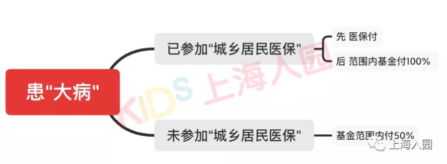 少儿住院基金上海,上海红十字少儿住院基金