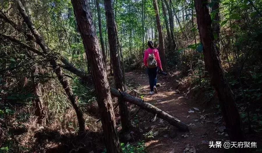 仁寿夏季旅游景区,2020仁寿旅游