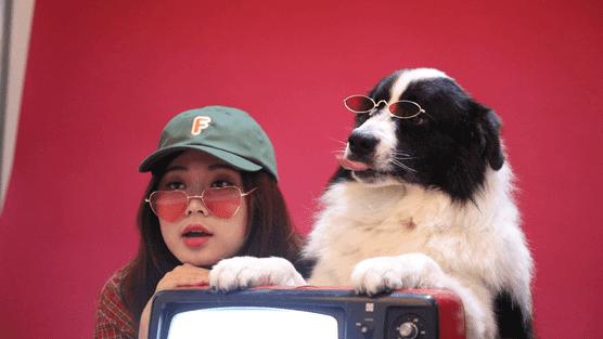 Pick到一家宝藏「宠物写真馆」！福利已谈好，铲屎官快冲鸭
