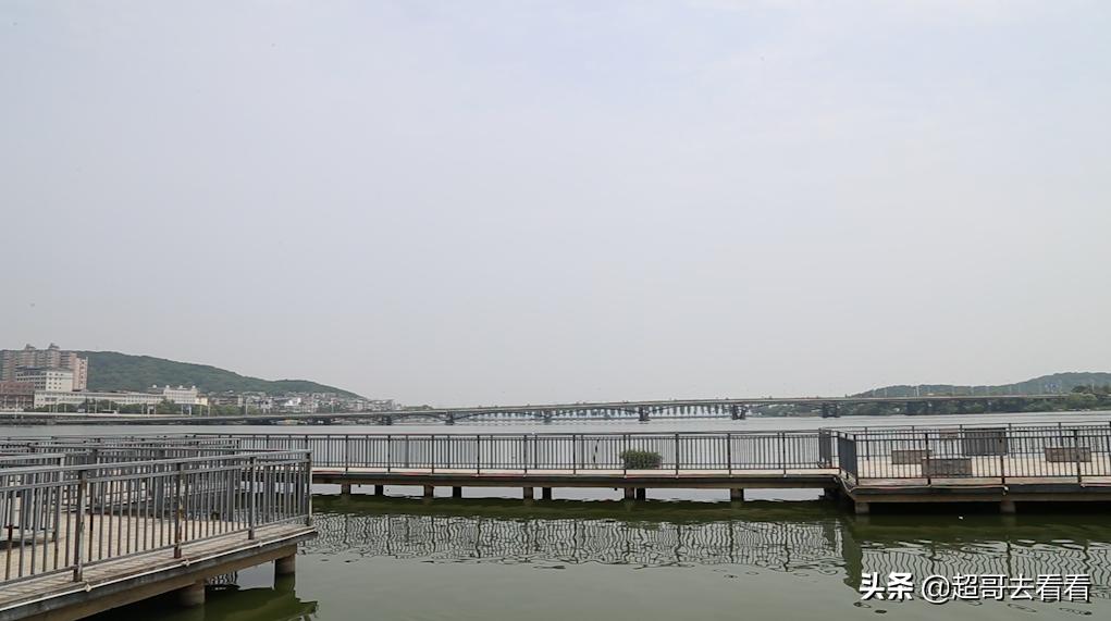 武汉体育学院最强学科,武汉体院排名