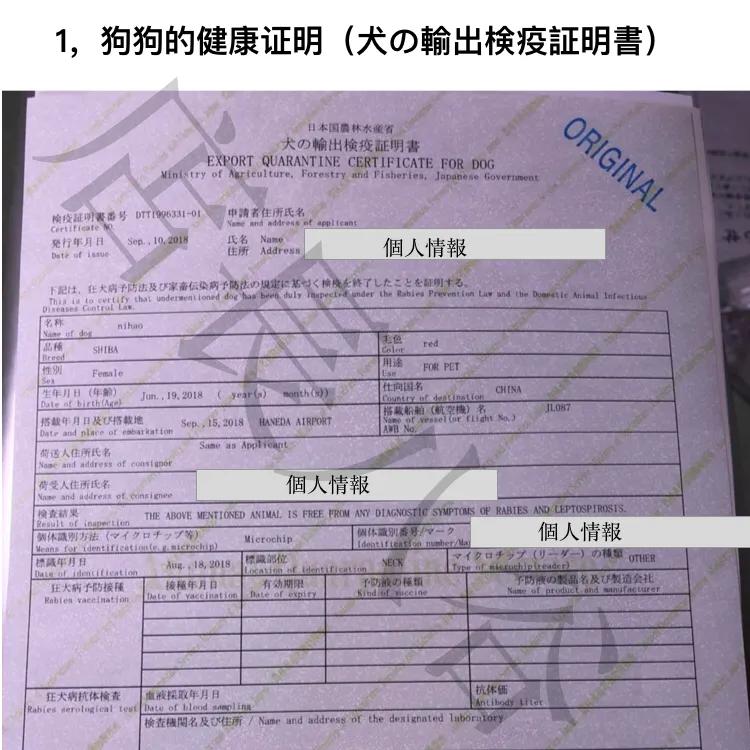 日本买了车怎么运回中国,日本柴犬带回中国