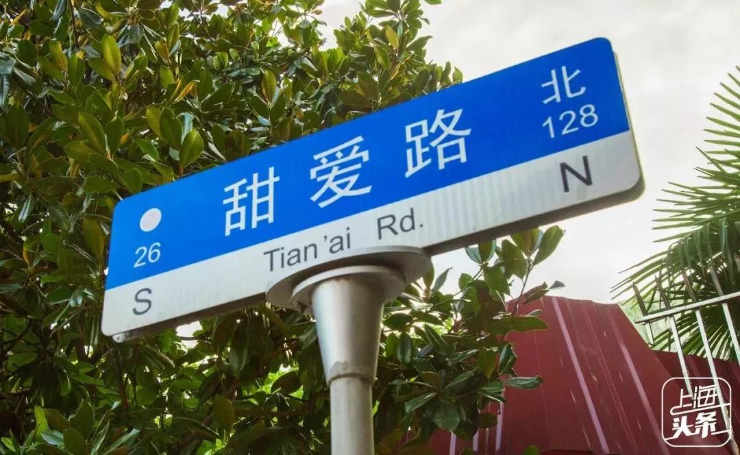 重回虹口,对不起我想重蹈覆辙