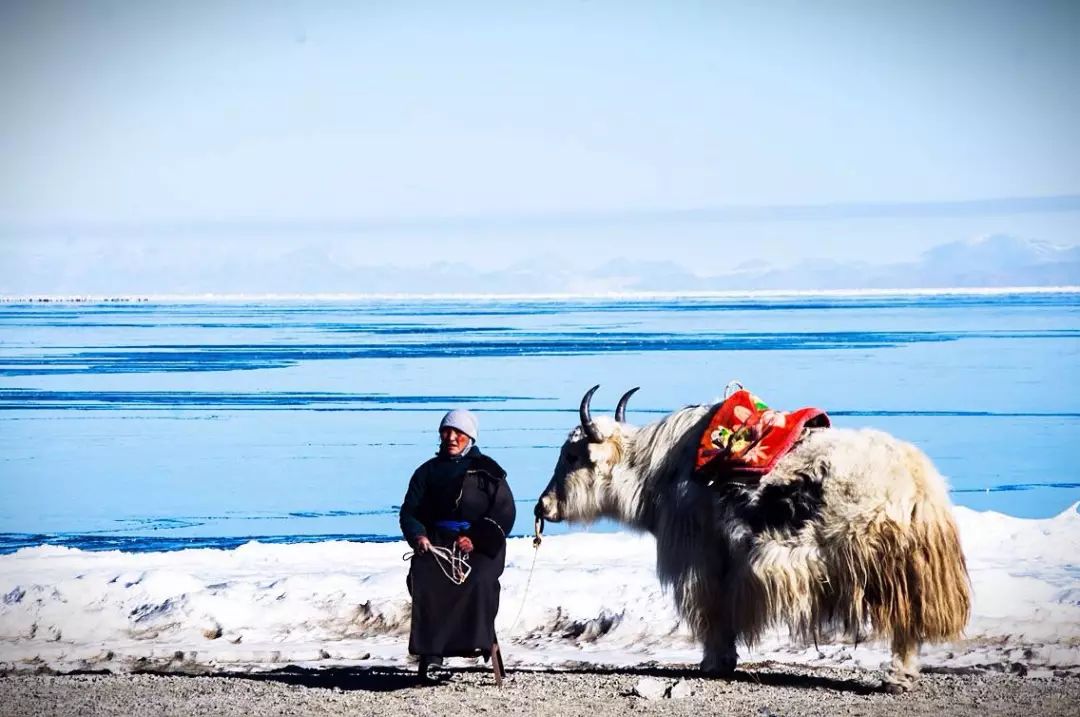 我想和你去一个地方美文,我想和你去一个地方唯美图片