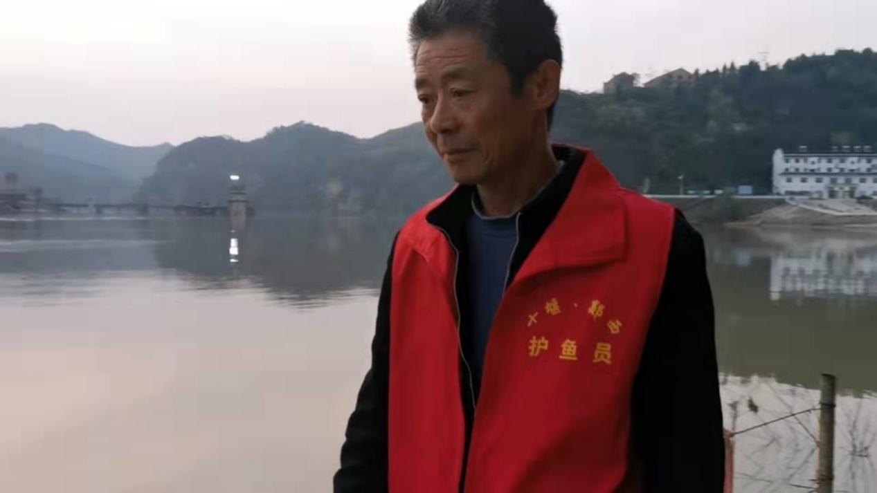 看“渔翁”如何蜕变为“羊倌”｜湖北长江禁渔纪实