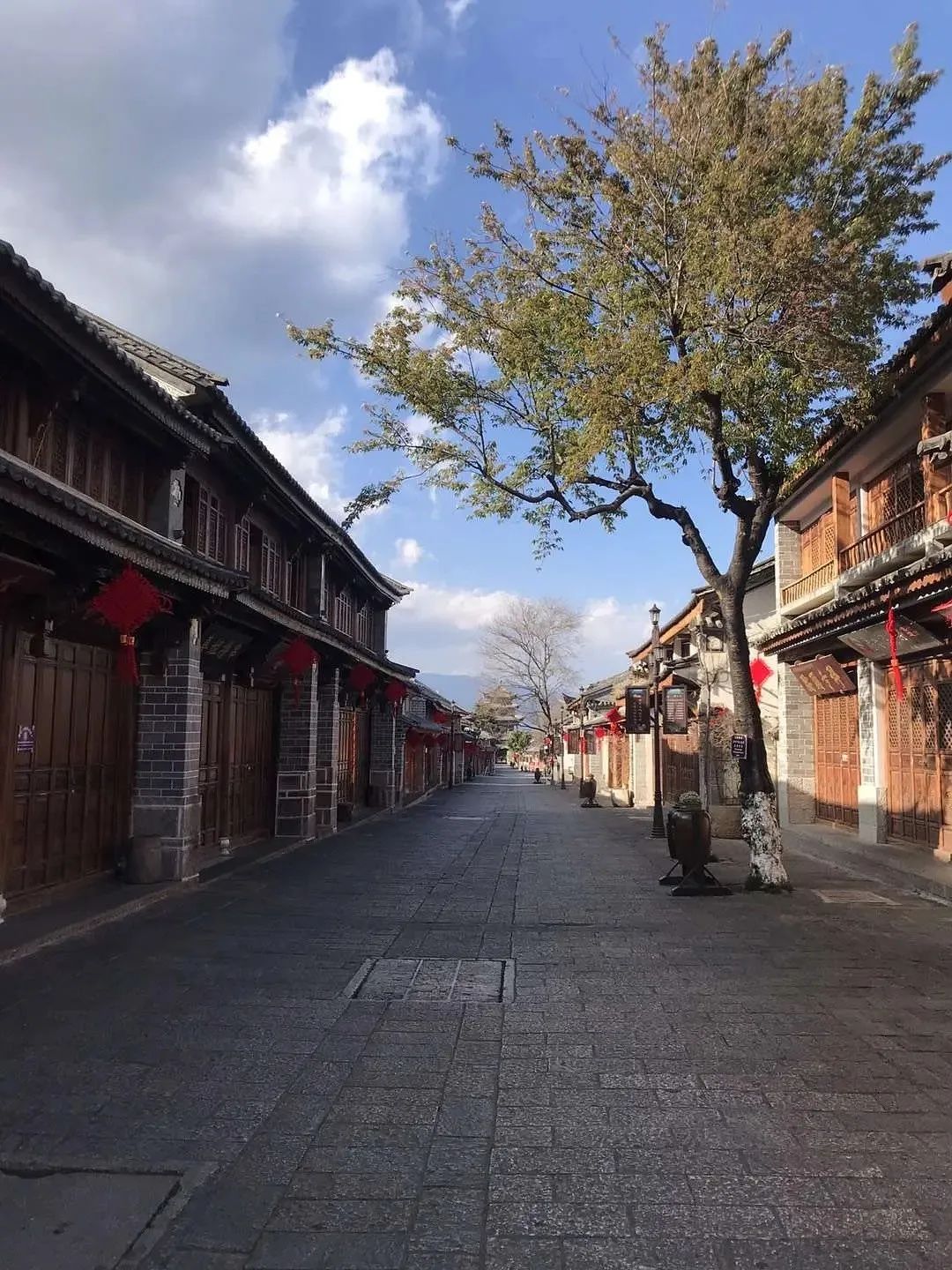 龙虾没人吃、LV没人买……中国人再不出门，各国旅游业都要垮了