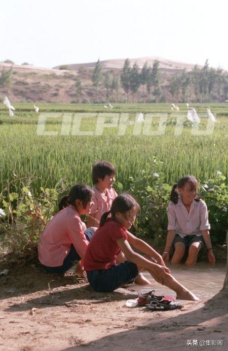 榆林市镇川镇老照片 (榆林市卫校老照片)