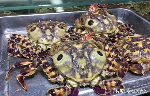 100种不同名字的海鲜,10种常见海鲜大全