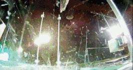 徐灿1秒11拳，职业运动员有多强大，真不是你上你也行