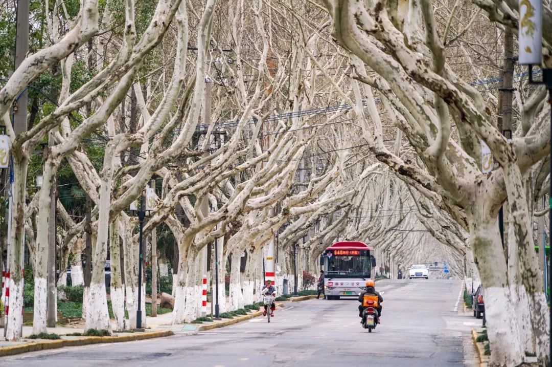 大厂真实生活现状,在大厂呆了3年的人