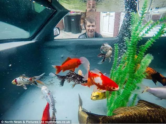 把汽车改装成鱼缸，这就是有钱人的生活吧