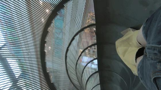 雨你有瓜！「2019魔都减压图鉴」来啦，一秒治愈你的梅雨无聊症