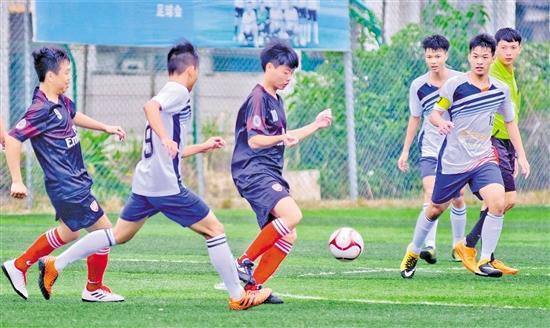 从牢笼到幸福的旅程,从牢笼到另一个牢笼