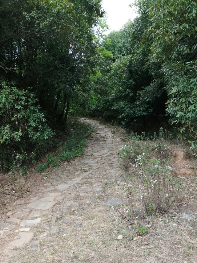 徐霞客游记完整视频,徐霞客游黄山后记全文