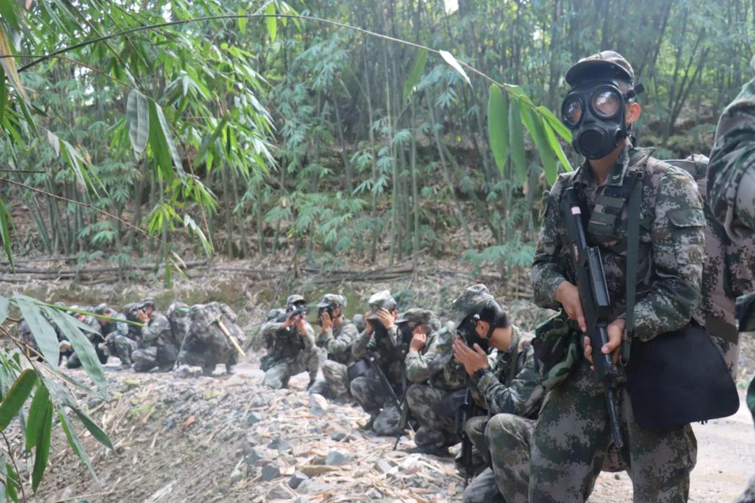 福建省军区民兵演习,战区部队的军事演练