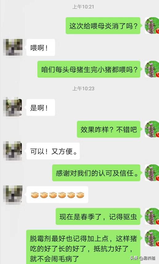 母猪产后消炎用什么药合适,母猪产后打几次消炎针