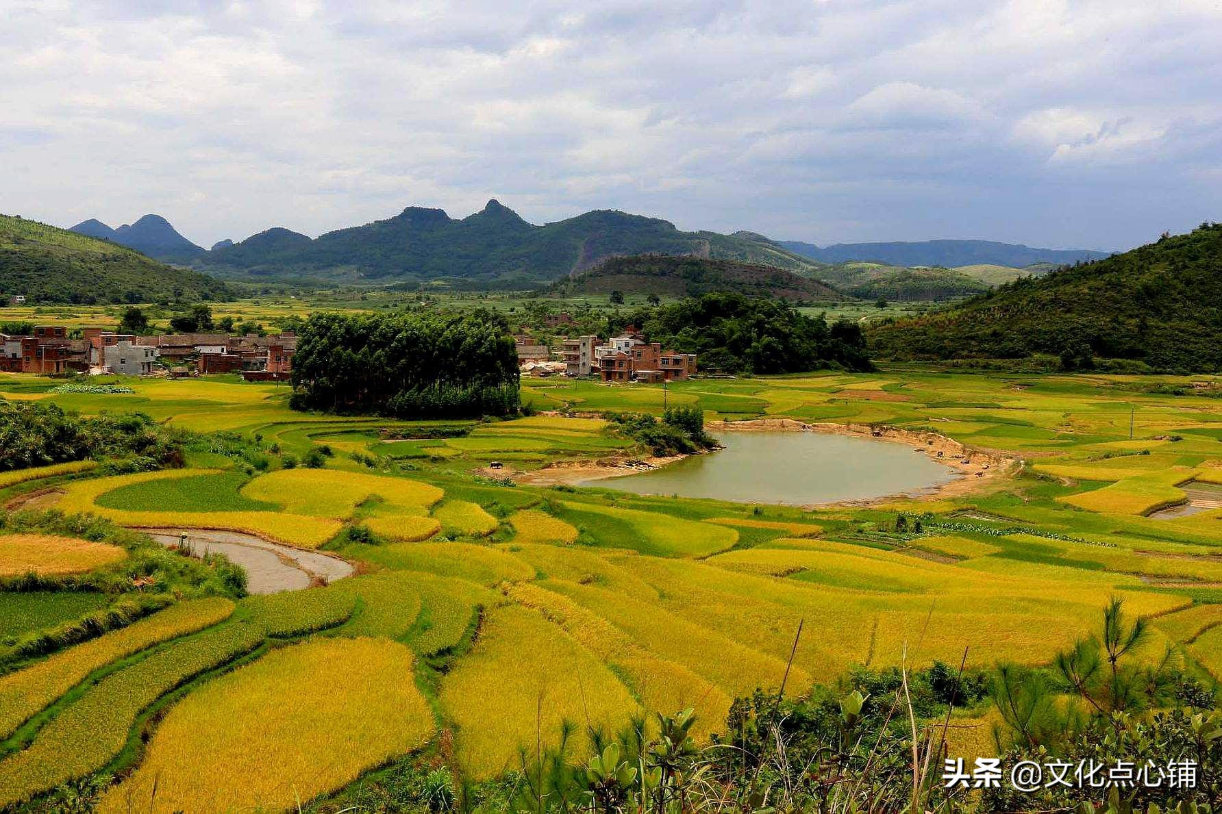 杜甫豁达的经典诗句,杜甫七律经典