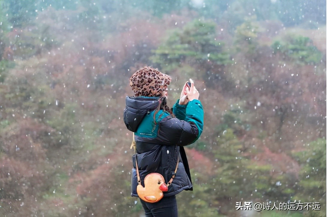 2020年仙女山第一场雪,仙女山第一场雪