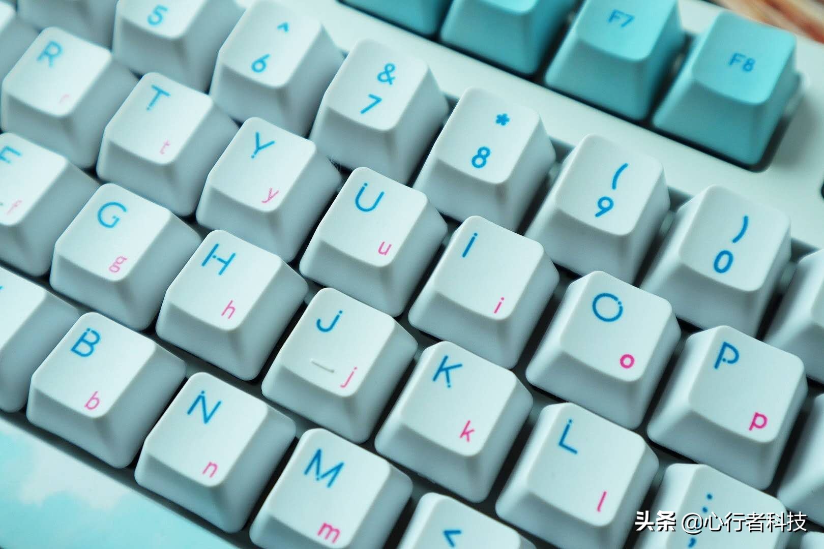 蜻蜓点水立指尖——黑爵蜻蜓键茶轴体验