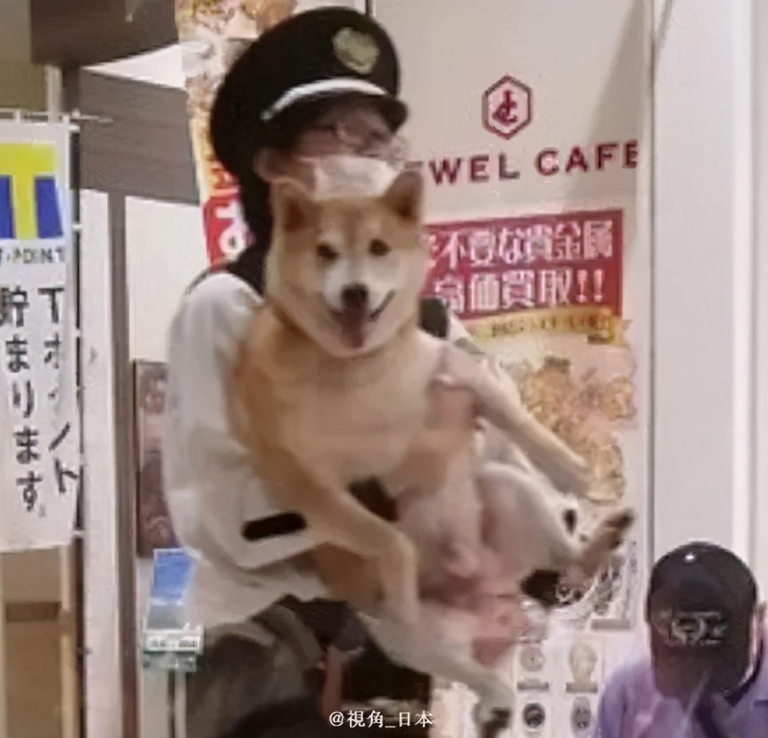 每日内涵囧图,每日囧图笑你一整天