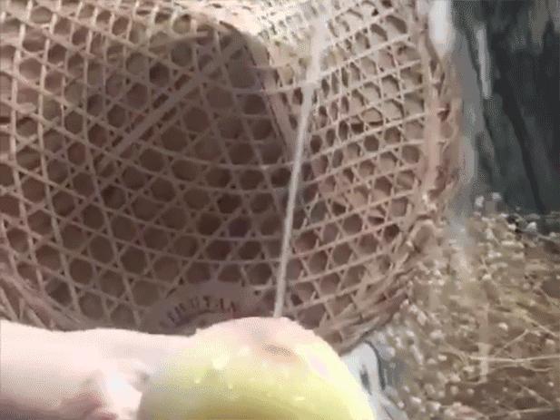 阳山水蜜桃市场真假,无锡阳山水蜜桃如何辨别