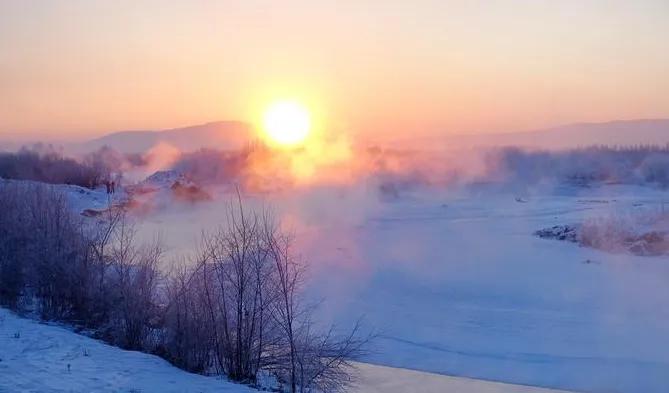 收到带冰茬的仙客来，想起“冰山上的来客”
